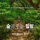 힐링오름 이미지