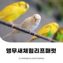 운학주유소 | ⋆ ᴍᴏᴀ sᴛᴏʀʏ | 경기 용인 | 어린이 실내놀이터 앵무새 동물체험 용인카페 리프패럿