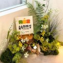 숲속모래성 키즈카페 노원공릉점 이미지