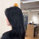 데일리수 네이버블로그