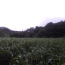 효촌1리마을회관 이미지