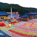 부산 삼광사 연등축제 주차장 점등시간 5월 부산가볼만한곳 이미지