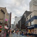 동대문 중앙아시아 거리 탐방 러시아 마트 3곳 직접 둘러본 비교 후기