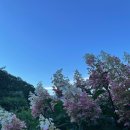 신사가든 이미지