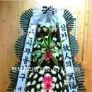 광주일곡병원 이미지