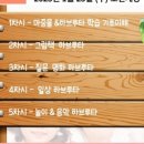 한국하브루타협회 이미지