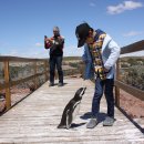 아르헨티나 여행기 29 - 툰타 톰보 이미지