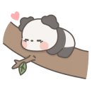 디뮤어 카라반 이미지