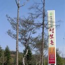 전통문화마을 성보촌 이미지