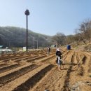 월암농장 이미지