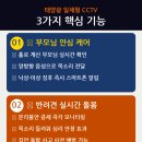 음성 비상일체 3호 | 부모님 걱정·반려견 케어·현관 방범, 365일 지켜주는 '태양광 일체형 CCTV' 아직도 구입 안 하셨어요?