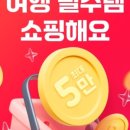 그랜드쇼핑