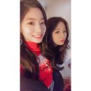 다쯔