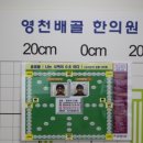 영천배골한의원 이미지