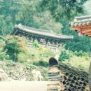 임기 지장암 이미지