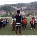 풍호체육공원 Daum카페