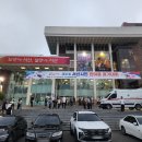 한마음가정의원 | 광복80주년, 서산시민과 함께한 한마음 걷기대회 후기