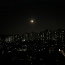 올림피아여행사주 | 강남 컬러사주 후기