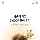 [종료🤬🤬] 카카오페이 밤송이 까고 5000 이미지