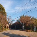 향가약수터 이미지