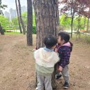 서창엔젤숲어린이집 이미지