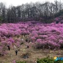 (주)효성 안양공장 이미지