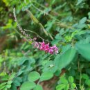 태복산로-1 이미지