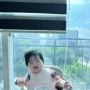 웃음이한약국 | 여름 지나고 가을 .. 근데 이유식 우울증을 곁들인..