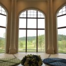 마에스트로 CC 이미지