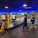 수성아트복싱클럽 수성1가점 이미지