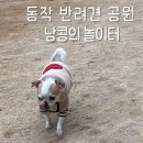 도심공원 | 동작반려공원 산책 🐾 낭콩이와 다녀온 도심 속 반려견 놀이터 후기