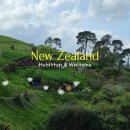 TOMO여행사 | 뉴질랜드 가족여행 호비튼 &amp; 와이토모 일일 투어 후기