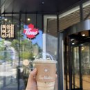 역삼 카페 “팀홀튼(Tim Hortons) 역삼역피나클점” 오리지널 아이스캡 솔직후기