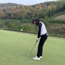 베뉴지cc 연단체 핑크벙커