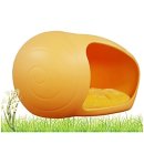 펫 아지트 이미지