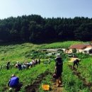 에브라임하우스 이미지