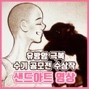 핑크스토리 이미지