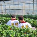 153태권도장 이미지