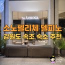 펠리체모텔 | 강원도 속초 숙소 소노펠리체 델피노 리조트 실버 울산바위 뷰 객실 후기