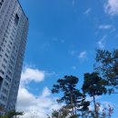 뚝섬유원지 텐트대여 영텐트 : 한강텐트대여 가성비 좋게 빌리는 팁 공유-⭐️