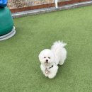 레인바우 이미지