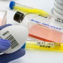 동물인플루엔자 인체감염증 (Zoonotic Influenza Infection) 이미지