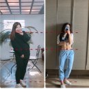 망고핏
