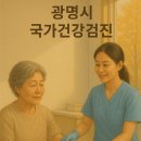 광명역새빛내과의원 | 광명시 국가건강검진 지정 병원 추천(광명, 철산, 소하, 하안, 일직동)