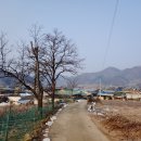 소여1리 이미지