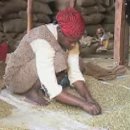 [VOA 영어뉴스] Ethiopian Economy Counting on Perks of Coffee Trade 이미지