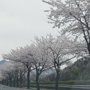 초가해물찜 이미지