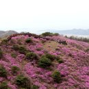 고려산 이미지