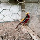 진소농장 이미지