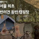 서울 최초 반려견 동반 캠핑장 이미지